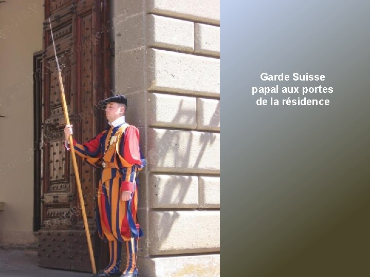 Garde Suisse papal aux portes de la résidence 