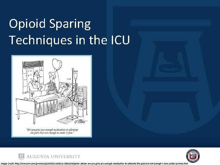 Opioid Sparing Techniques in the ICU Image Credit: http: //www. art. com/products/p 15063244409 -sa-i Opioid Sparing Techniques in the ICU Image Credit: http: //www. art. com/products/p 15063244409 -sa-i
