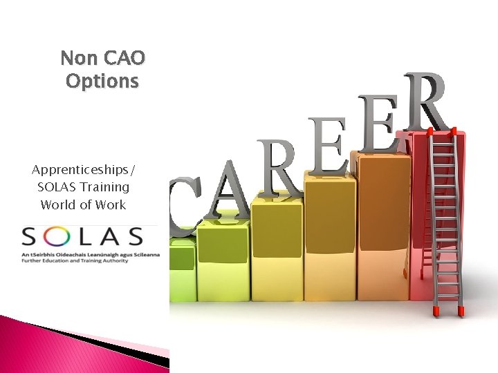 Non CAO Options Apprenticeships/ SOLAS Training World of Work 