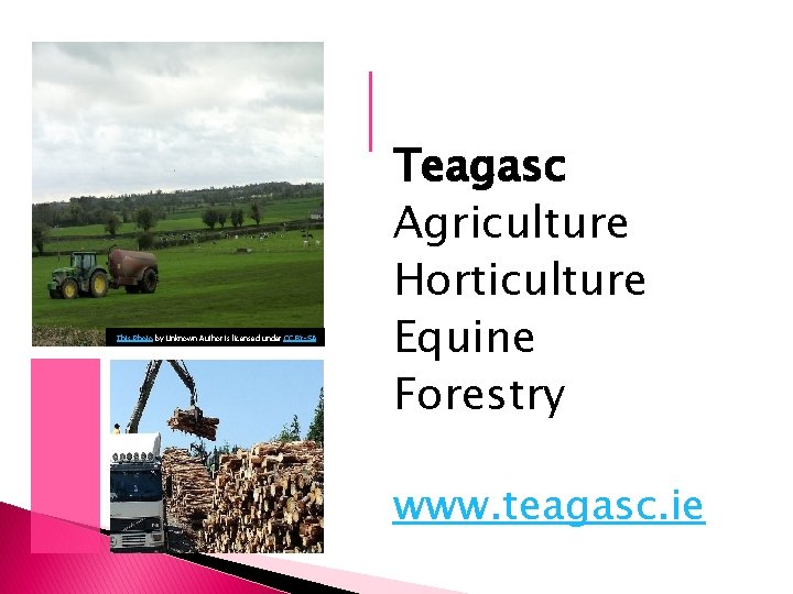This Photo by Unknown Author is licensed under CC BY-SA Teagasc Agriculture Horticulture Equine