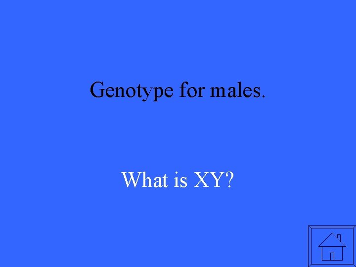 Genotype for males. What is XY? 