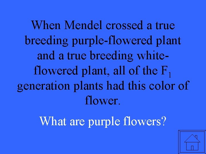 When Mendel crossed a true breeding purple-flowered plant and a true breeding whiteflowered plant,