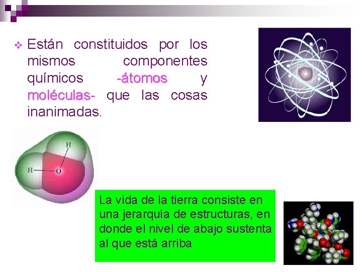 v Están constituidos por los mismos componentes químicos -átomos y moléculas- que las cosas