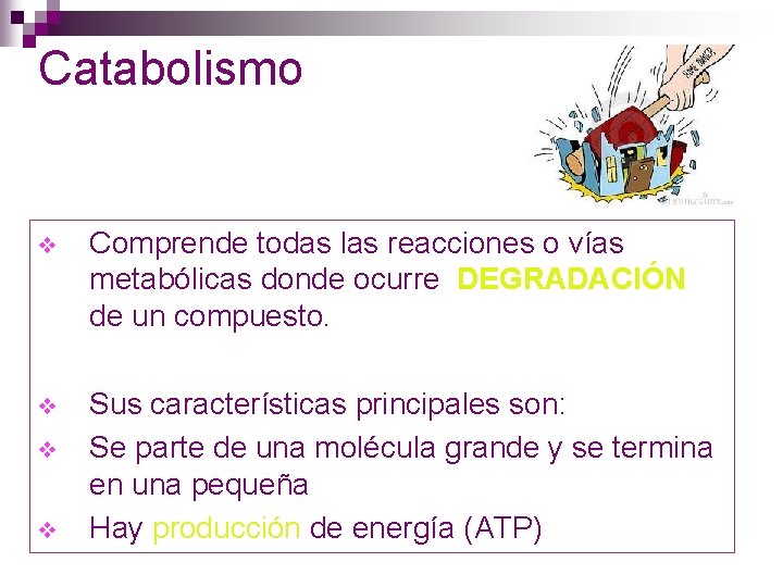 Catabolismo v Comprende todas las reacciones o vías metabólicas donde ocurre DEGRADACIÓN de un