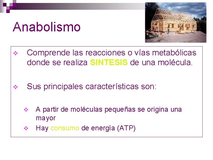 Anabolismo v Comprende las reacciones o vías metabólicas donde se realiza SINTESIS de una