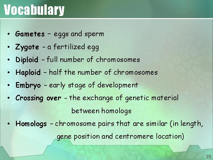 Vocabulary • Gametes – eggs and sperm • Zygote – a fertilized egg •