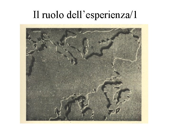 Il ruolo dell’esperienza/1 