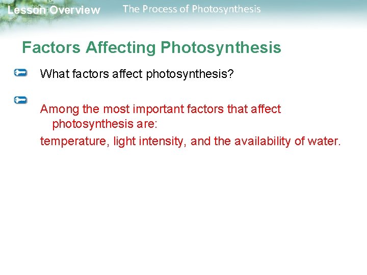 Lesson Overview The Process of Photosynthesis Factors Affecting Photosynthesis What factors affect photosynthesis? Among Lesson Overview The Process of Photosynthesis Factors Affecting Photosynthesis What factors affect photosynthesis? Among