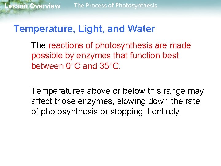 Lesson Overview The Process of Photosynthesis Temperature, Light, and Water The reactions of photosynthesis Lesson Overview The Process of Photosynthesis Temperature, Light, and Water The reactions of photosynthesis