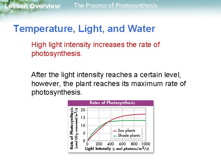Lesson Overview The Process of Photosynthesis Temperature, Light, and Water High light intensity increases Lesson Overview The Process of Photosynthesis Temperature, Light, and Water High light intensity increases