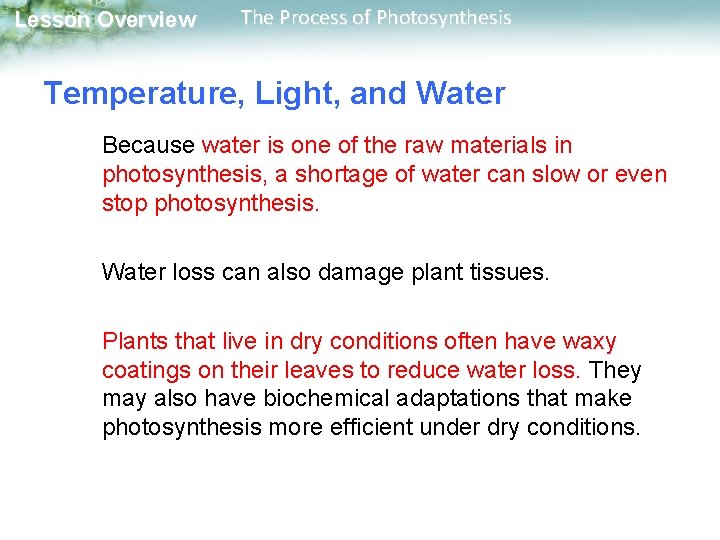 Lesson Overview The Process of Photosynthesis Temperature, Light, and Water Because water is one Lesson Overview The Process of Photosynthesis Temperature, Light, and Water Because water is one