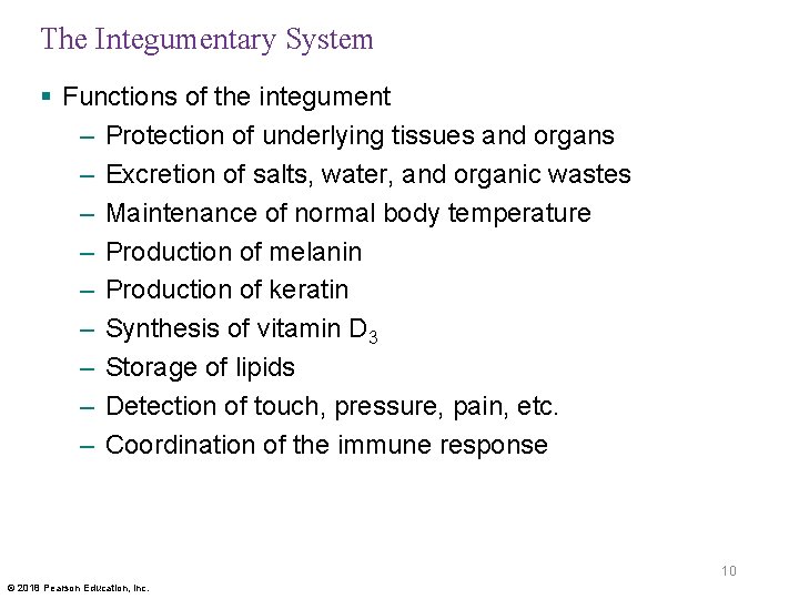 The Integumentary System § Functions of the integument – Protection of underlying tissues and