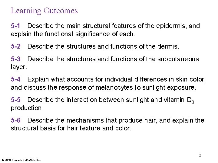 Learning Outcomes 5 -1 Describe the main structural features of the epidermis, and explain