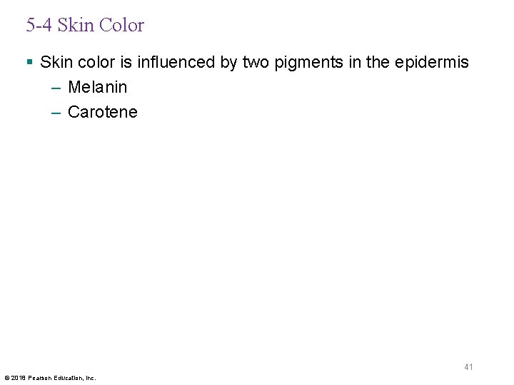 5 -4 Skin Color § Skin color is influenced by two pigments in the