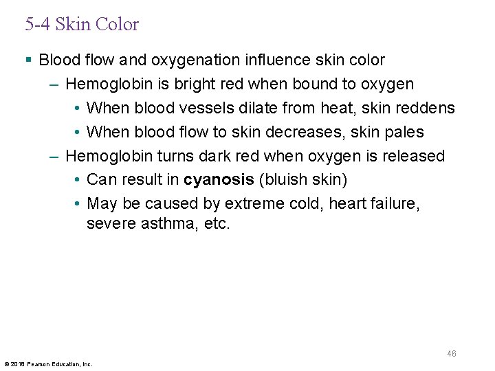 5 -4 Skin Color § Blood flow and oxygenation influence skin color – Hemoglobin
