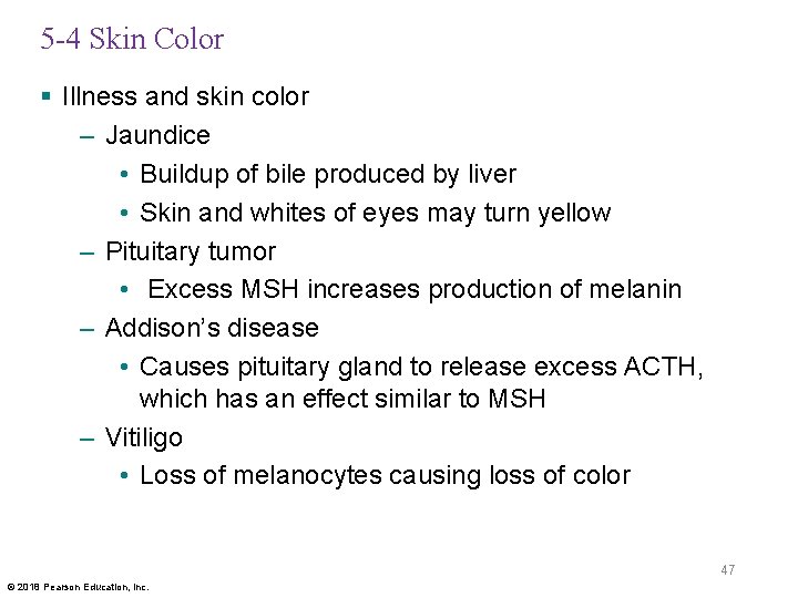 5 -4 Skin Color § Illness and skin color – Jaundice • Buildup of