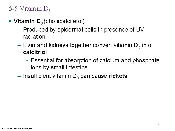 5 -5 Vitamin D 3 § Vitamin D 3 (cholecalciferol) – Produced by epidermal