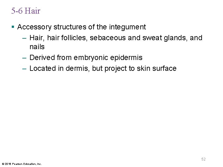 5 -6 Hair § Accessory structures of the integument – Hair, hair follicles, sebaceous