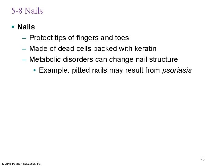5 -8 Nails § Nails – Protect tips of fingers and toes – Made