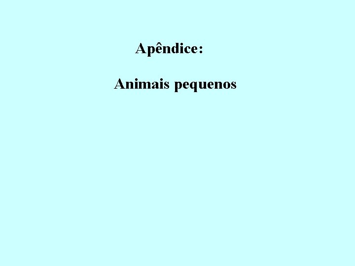 Apêndice: Animais pequenos 