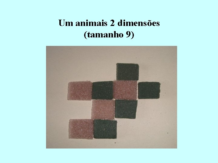 Um animais 2 dimensões (tamanho 9) 