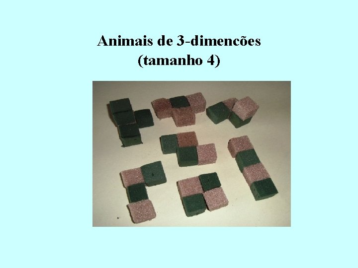 Animais de 3 -dimencões (tamanho 4) O jogo de ”Rio Claro”. O jogo de