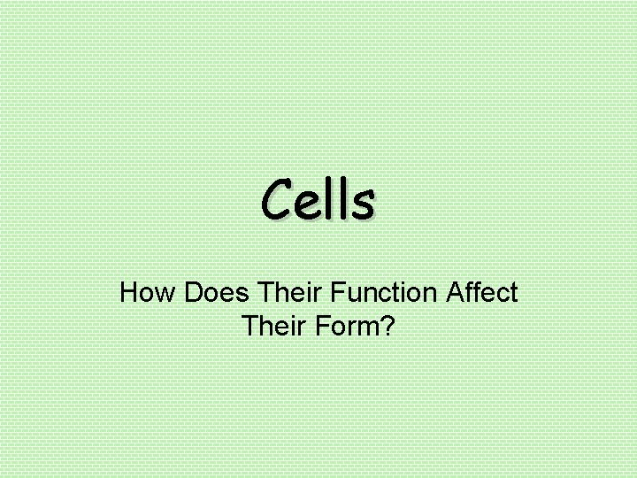 Cells How Does Their Function Affect Their Form? 