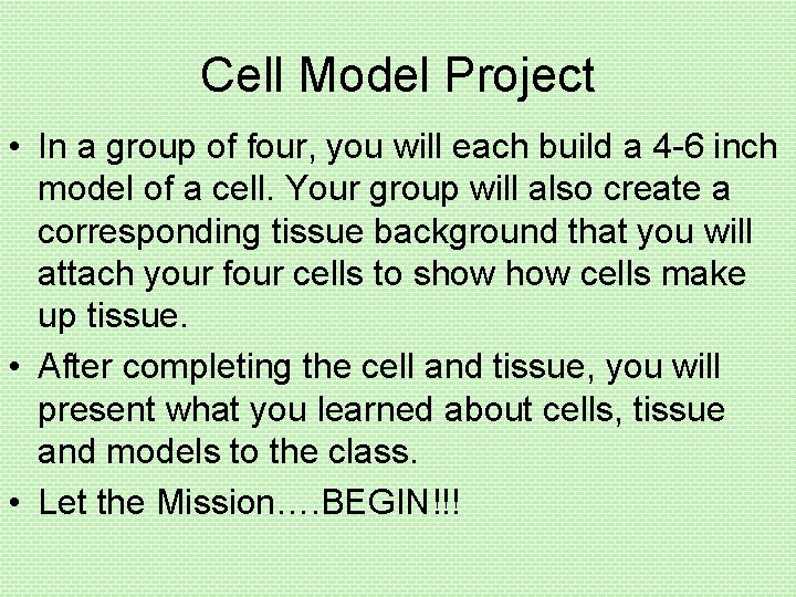Cell Model Project • In a group of four, you will each build a
