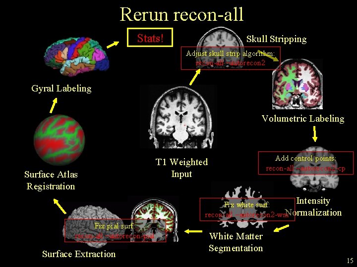 Rerun recon-all Stats! Skull Stripping Adjust skull strip algorithm: recon-all –autorecon 2 Gyral Labeling