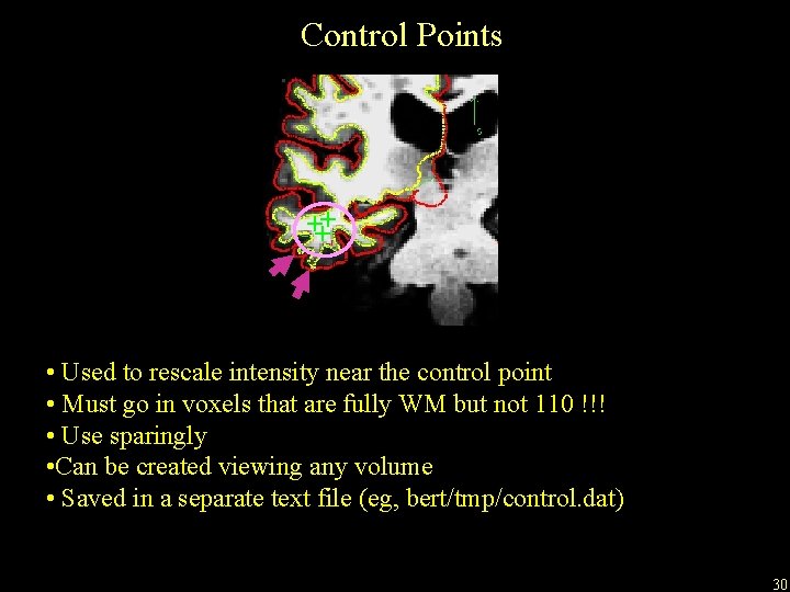 Control Points +++ • Used to rescale intensity near the control point • Must