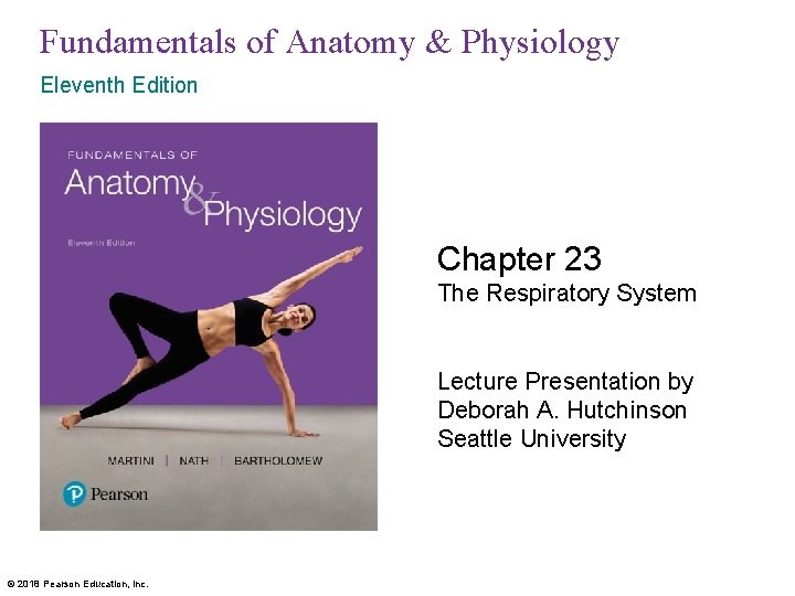 Fundamentals of Anatomy & Physiology Eleventh Edition Chapter 23 The Respiratory System Lecture Presentation