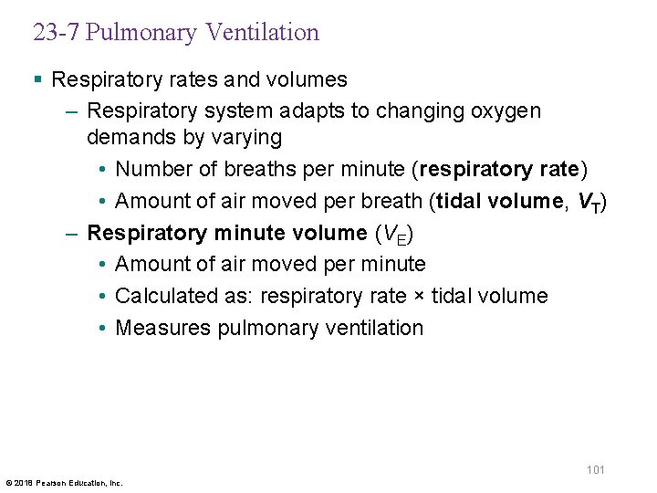 23 -7 Pulmonary Ventilation § Respiratory rates and volumes – Respiratory system adapts to