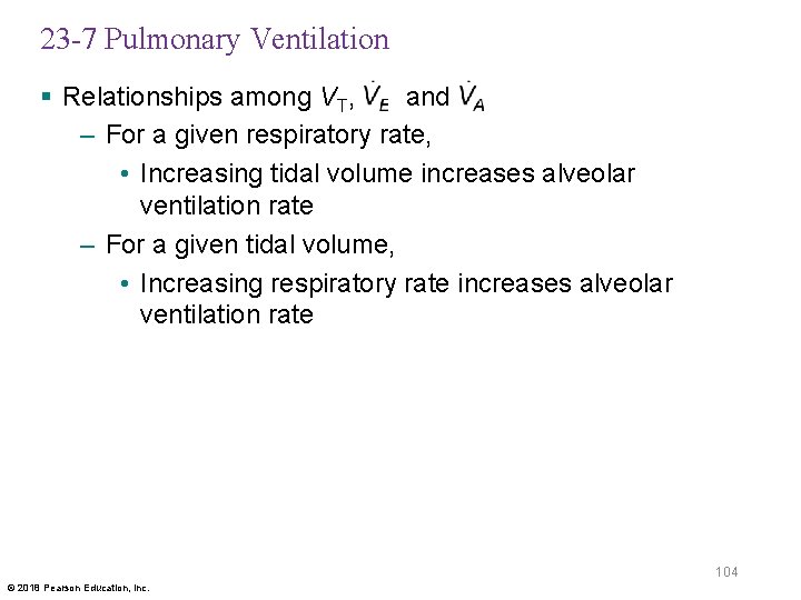 23 -7 Pulmonary Ventilation § Relationships among VT, and – For a given respiratory