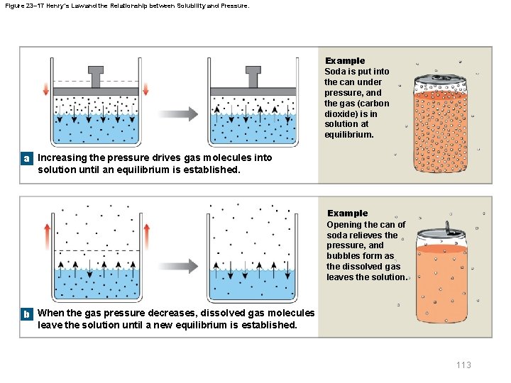 Figure 23– 17 Henry’s Law and the Relationship between Solubility and Pressure. Example Soda