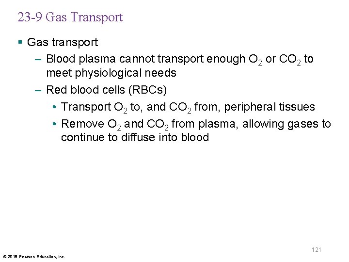 23 -9 Gas Transport § Gas transport – Blood plasma cannot transport enough O