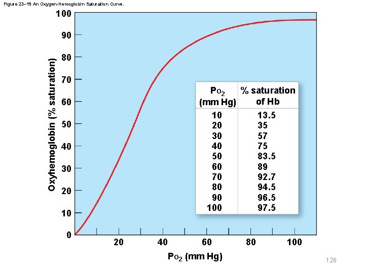 Figure 23– 19 An Oxygen-Hemoglobin Saturation Curve. 100 Oxyhemoglobin (% saturation) 90 80 70