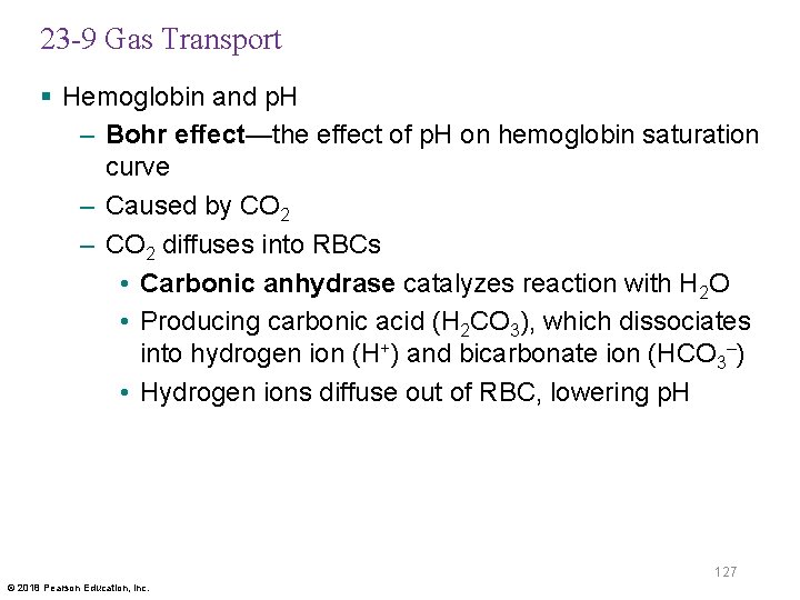 23 -9 Gas Transport § Hemoglobin and p. H – Bohr effect—the effect of