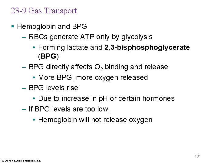 23 -9 Gas Transport § Hemoglobin and BPG – RBCs generate ATP only by