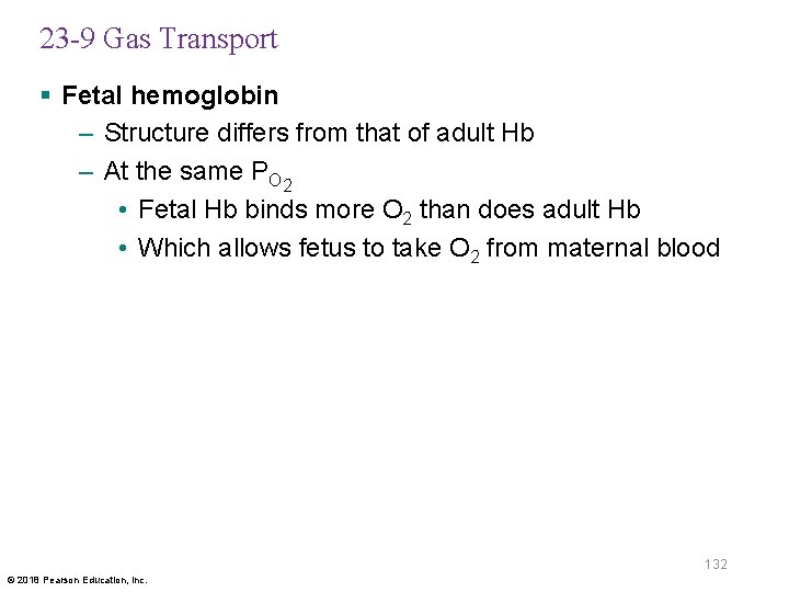 23 -9 Gas Transport § Fetal hemoglobin – Structure differs from that of adult