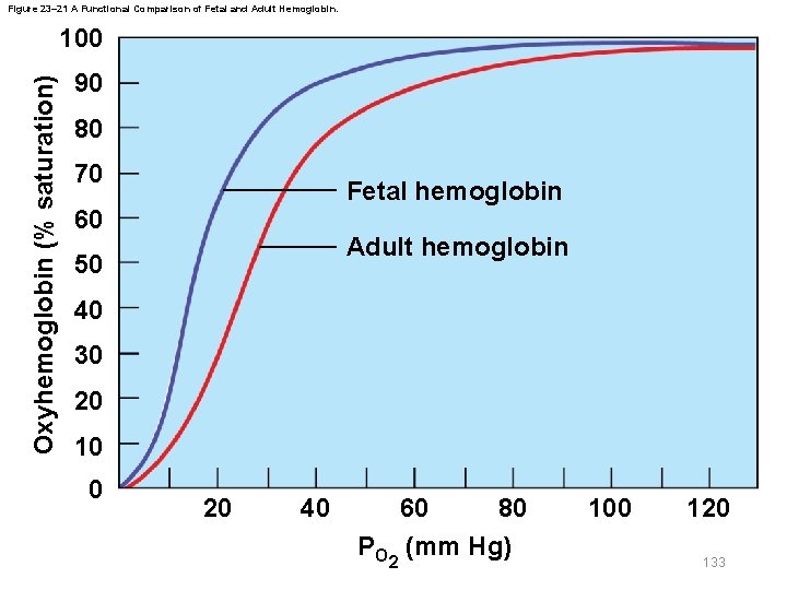 Figure 23– 21 A Functional Comparison of Fetal and Adult Hemoglobin. Oxyhemoglobin (% saturation)