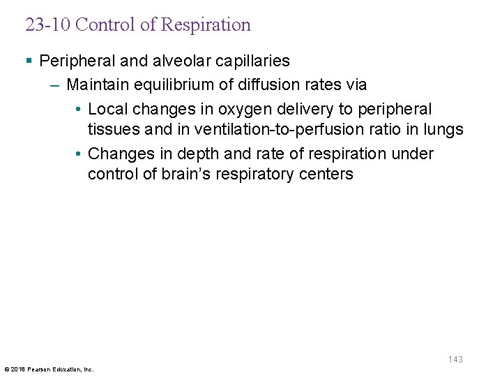 23 -10 Control of Respiration § Peripheral and alveolar capillaries – Maintain equilibrium of