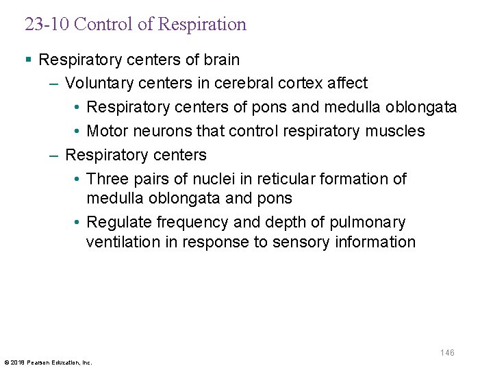 23 -10 Control of Respiration § Respiratory centers of brain – Voluntary centers in