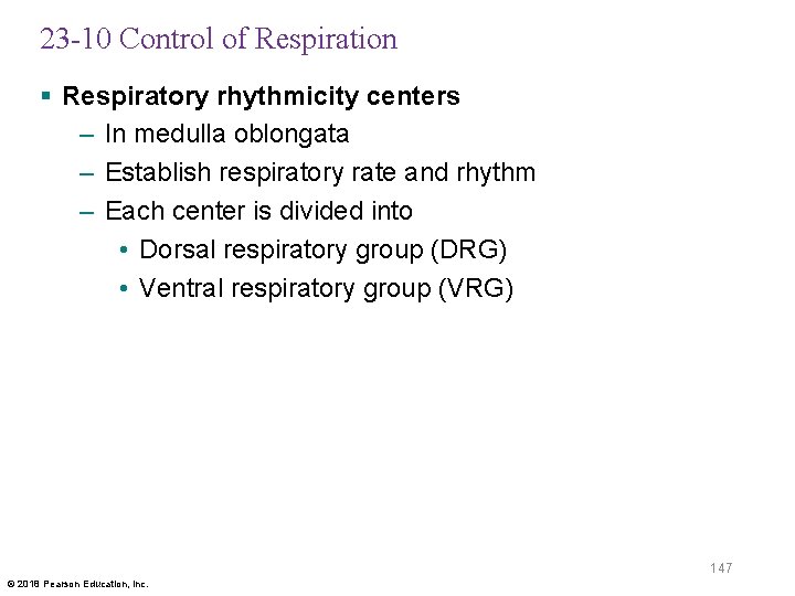 23 -10 Control of Respiration § Respiratory rhythmicity centers – In medulla oblongata –