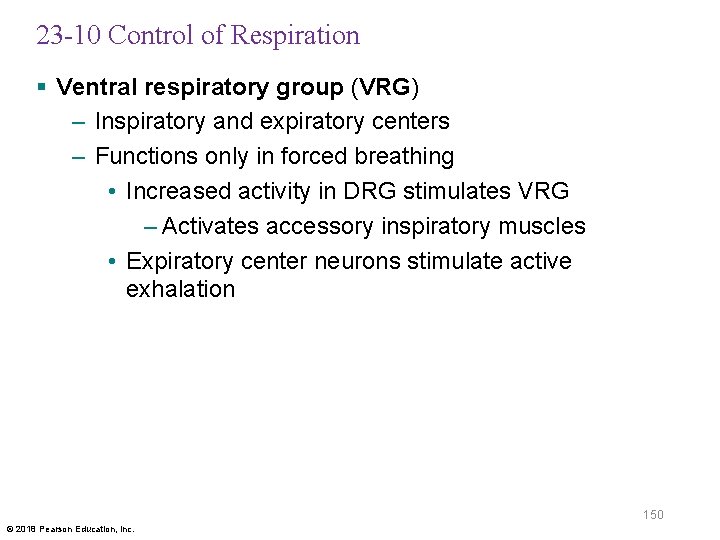 23 -10 Control of Respiration § Ventral respiratory group (VRG) – Inspiratory and expiratory