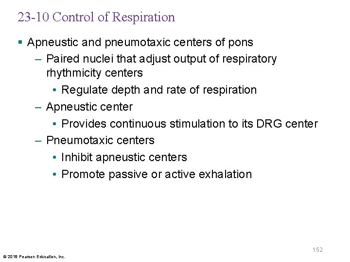 23 -10 Control of Respiration § Apneustic and pneumotaxic centers of pons – Paired