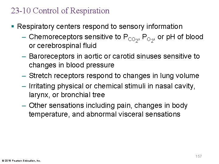 23 -10 Control of Respiration § Respiratory centers respond to sensory information – Chemoreceptors