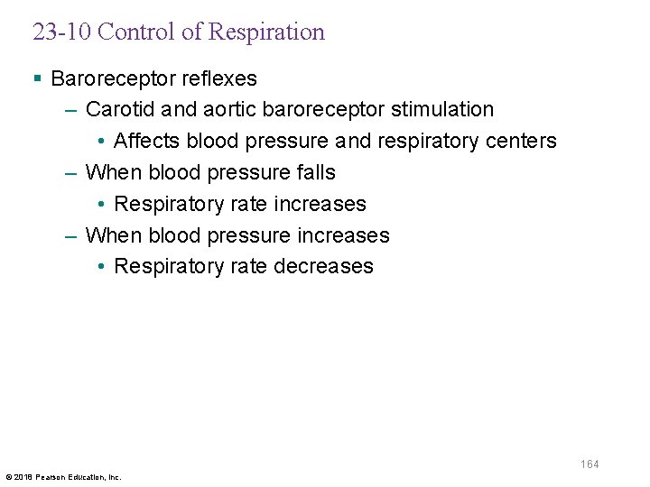 23 -10 Control of Respiration § Baroreceptor reflexes – Carotid and aortic baroreceptor stimulation