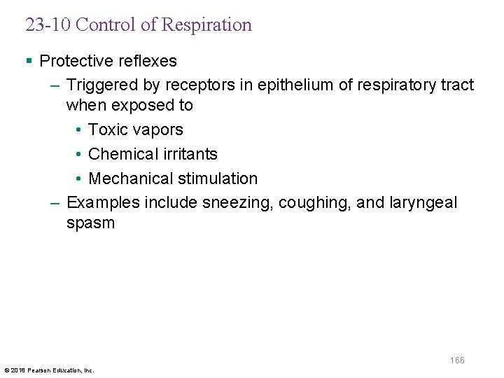 23 -10 Control of Respiration § Protective reflexes – Triggered by receptors in epithelium