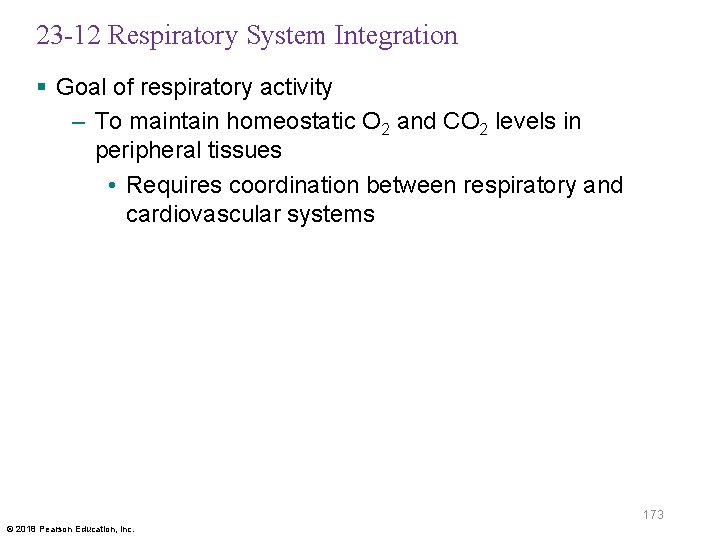 23 -12 Respiratory System Integration § Goal of respiratory activity – To maintain homeostatic