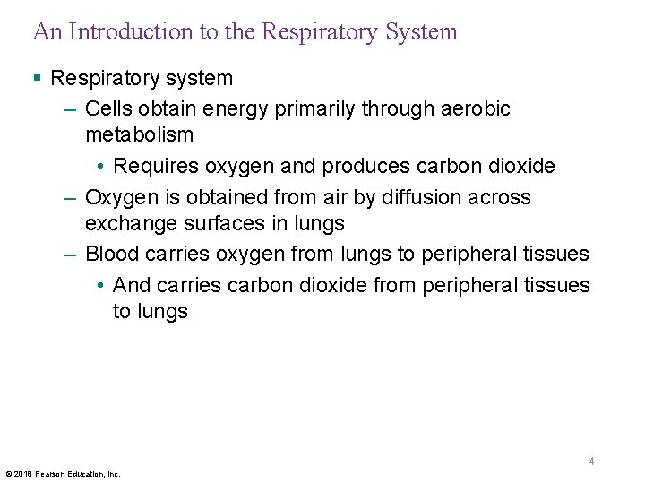 An Introduction to the Respiratory System § Respiratory system – Cells obtain energy primarily